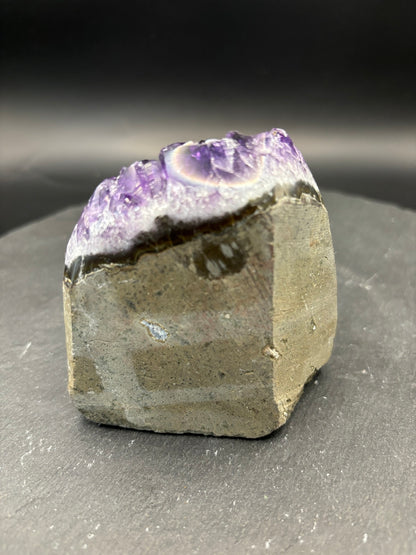 Deep Amethyst mini Druse 543 Gramm ( Unikat )